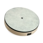 Remo 22