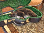 Cat 'n a Case Mouse Pad