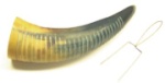 Horn Guiro with Scraper