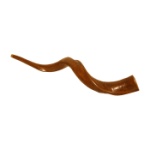 Mid-East SHON Extra-Large Synthetic Shofar