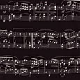 Black and White Bach Scarf