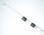Hall 0292 Dundee Celtic Crystal Flute in G
