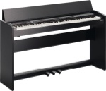 Roland F-120 SuperNATURAL Piano (Satin Black)