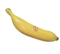 Remo Banana Shaker