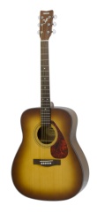 F325 TBS Acous. Gtr. w/Hardshell Case