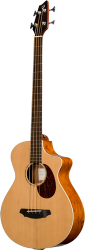 Breedlove Passport Plus B350/CBe4 Acoustic Electric Bass