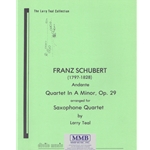 Andante from Quartet in A minor, Op. 29 - Sax Quartet (SATB)