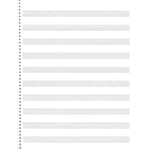 Passantino 10-Stave Spiral Book
