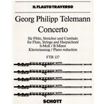 Concerto in B Minor - Flute and Piano