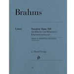 Concerto in D Major, Op. 61: Cadenzas - Violin