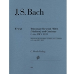 Trio Sonata in G Major, BWV 1039 - Flute (or Violin) Duet and Piano
