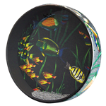 Remo ET-0212-10 12" Ocean Drum - Fish Graphic