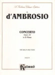 Concerto in B Minor, Op. 29 - Violin and Piano