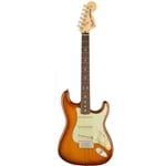 Fender American Performer Stratocaster® w/ Deluxe Gig Bag - Honey Burst