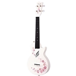 Related Product Image
