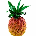 NINO595 Pineapple Fruit Shaker