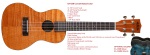 Kala KA-CEMBK Exotic Mahogany Series Concert Ukelele - Black