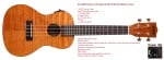 Kala KA-CEME Exotic Mahogany Series Concert Ukulele with EQ