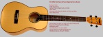 Kala KA-FMBG Baritone Solid Spruce / Flame Maple Series Ukulele