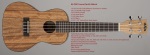 Kala KA-PWC/LH Pacific Walnut Series Concert Ukulele - Left Handed