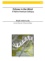 Echoes in the Wind: A Native American Soliloquy - Alto Flute (or C Flute) and Piano
