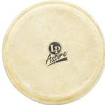 Related Product Image