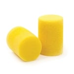 D'Addario Foam Ear Plugs (pair)