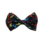 Colored Notes Bow Tie