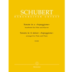 Sonata in A Minor, D. 821 "Arpeggione" - Flute and Piano