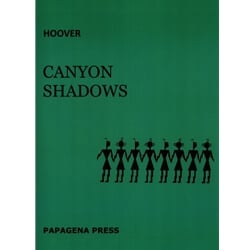 Canyon Shadows - Flute, Native American Flute, and Percussion