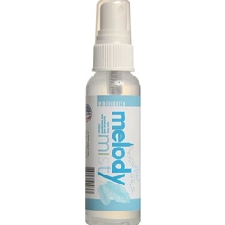 Melody Mist 2 Oz Wintergreen Spray Mouthpiece Cleaner