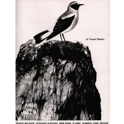 Catalogue d'Oiseaux, Vol. 2 - Piano