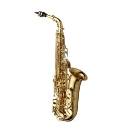 Yanagisawa A-WO10 Pro Alto Saxophone