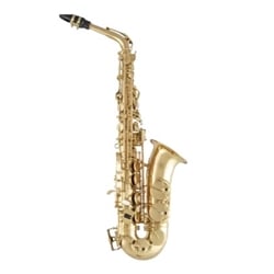 Selmer SAS411 Intermediate Alto Saxophone - Lacquer Finish