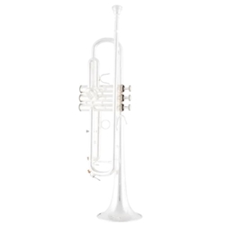 Bach BTR411 Intermediate Bb Trumpet - Silver Plated finish