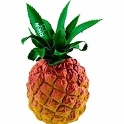 NINO595 Pineapple Fruit Shaker