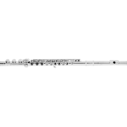 Azumi AZ2SRB Intermediate Flute, Inline