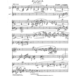 Elegia - Clarinet Duet and Guitar