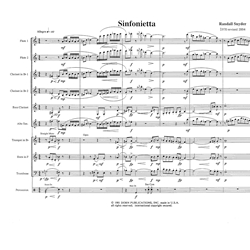 Sinfonietta - Mixed Chamber Ensemble