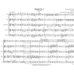 Woodwind Quintet No. 3