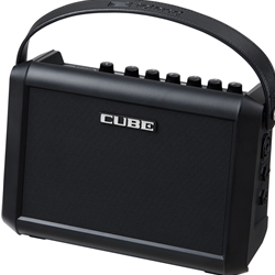 Roland CUBE-Street MINI Instrument Amp