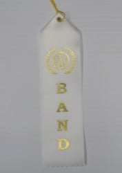 Band Ribbon White - 10 Pack