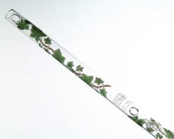 Hall Crystal Flute in Eb - 12104 Ivy