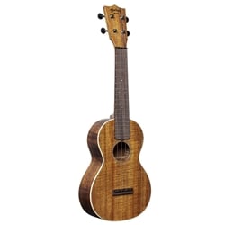 Martin 2K Concert Ukulele with Padded Bag