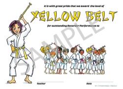 Dojo Award Belt Certificates (Yellow) - Pack of 25