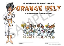 Dojo Award Belt Certificates (Orange) - Pack of 25