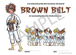 Dojo Award Belt Certificates (Brown) - Pack of 25
