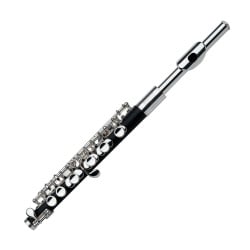 Gemeinhardt 4PSH Plastic Piccolo with Solid Silver Head