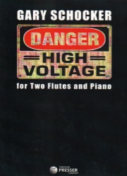 Danger: High Voltage - Flute Duet and Piano
