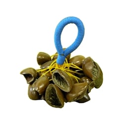 Nigerian Uyot Seed Nylon Hand Rattle